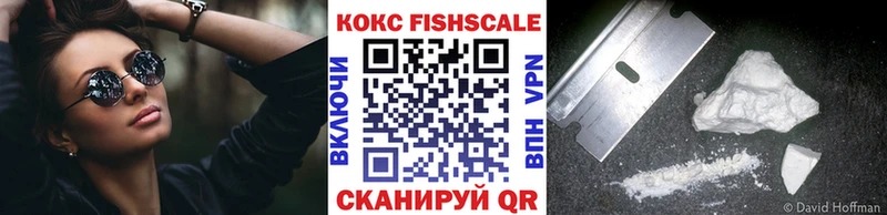 сколько стоит  Суворов  COCAIN Fish Scale 