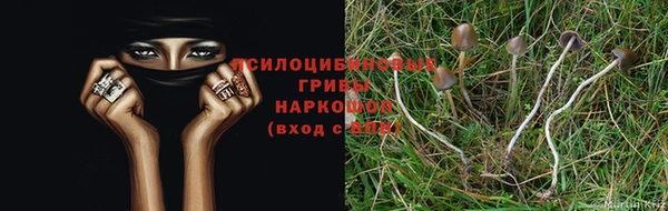 MESCALINE Лагань