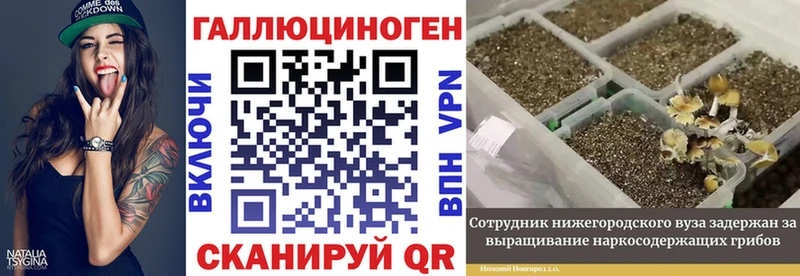 продажа наркотиков  Суворов  Псилоцибиновые грибы мицелий 